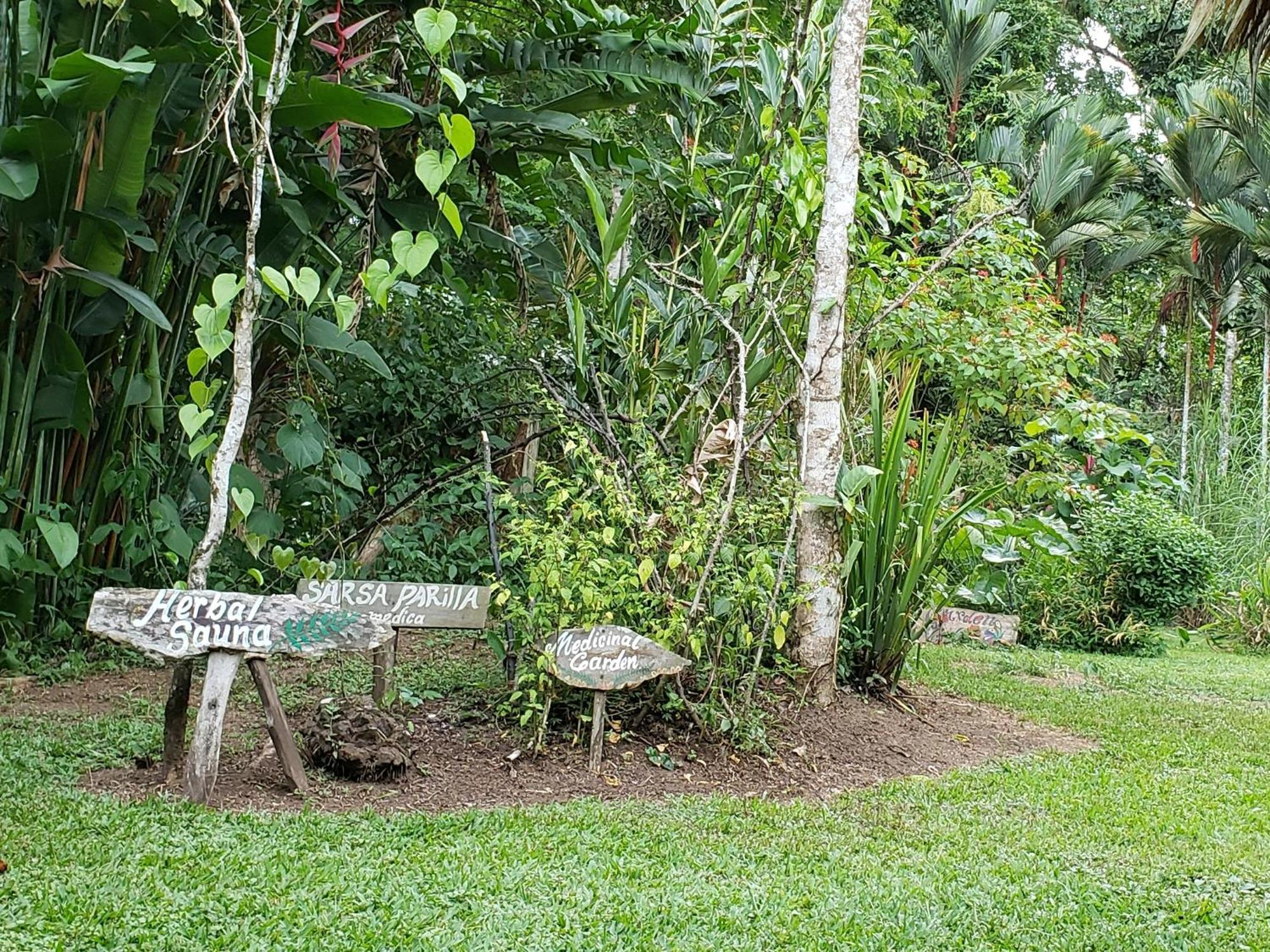 Wildlife Lodge Cahuita Exterior photo