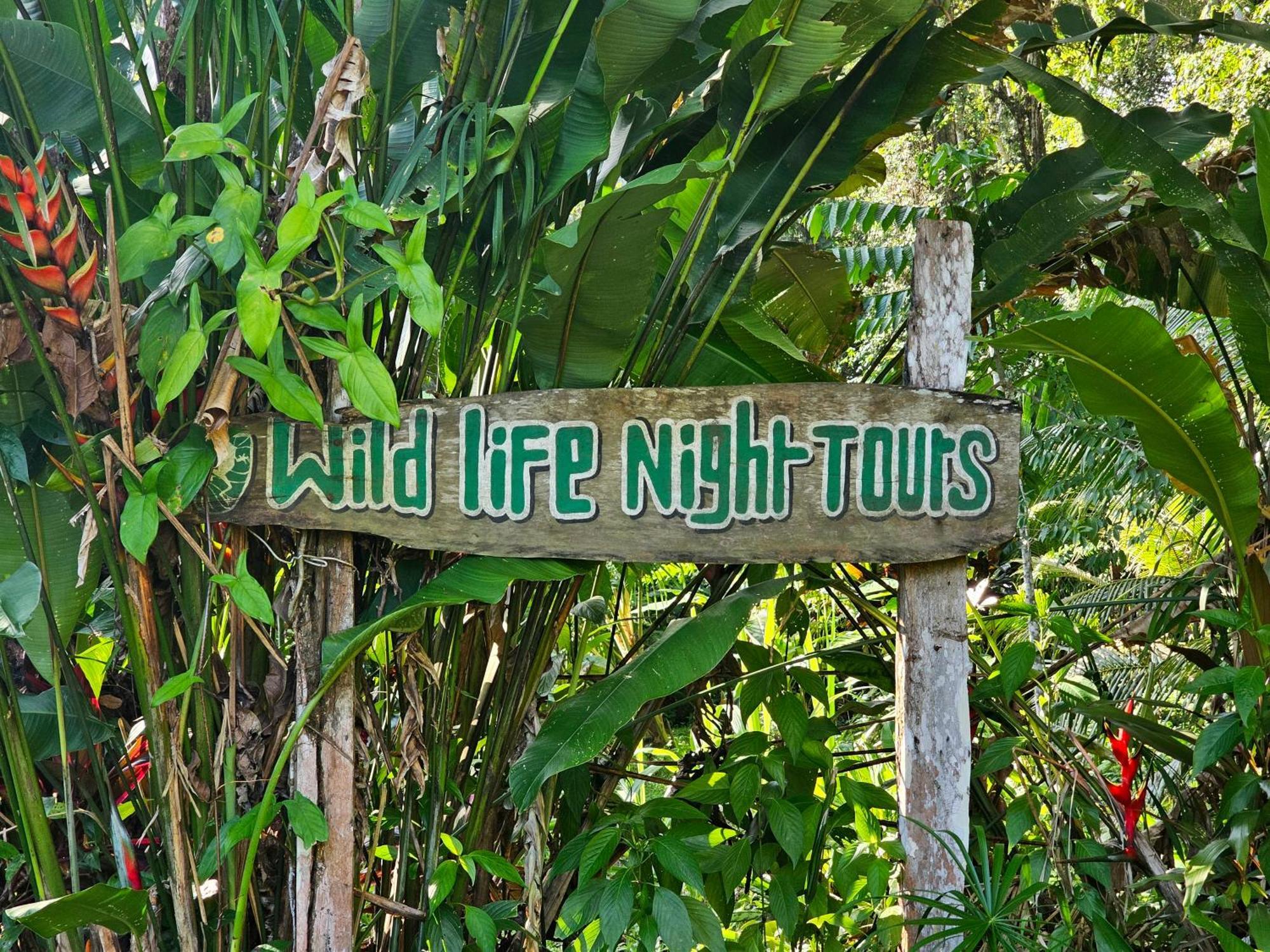 Wildlife Lodge Cahuita Exterior photo