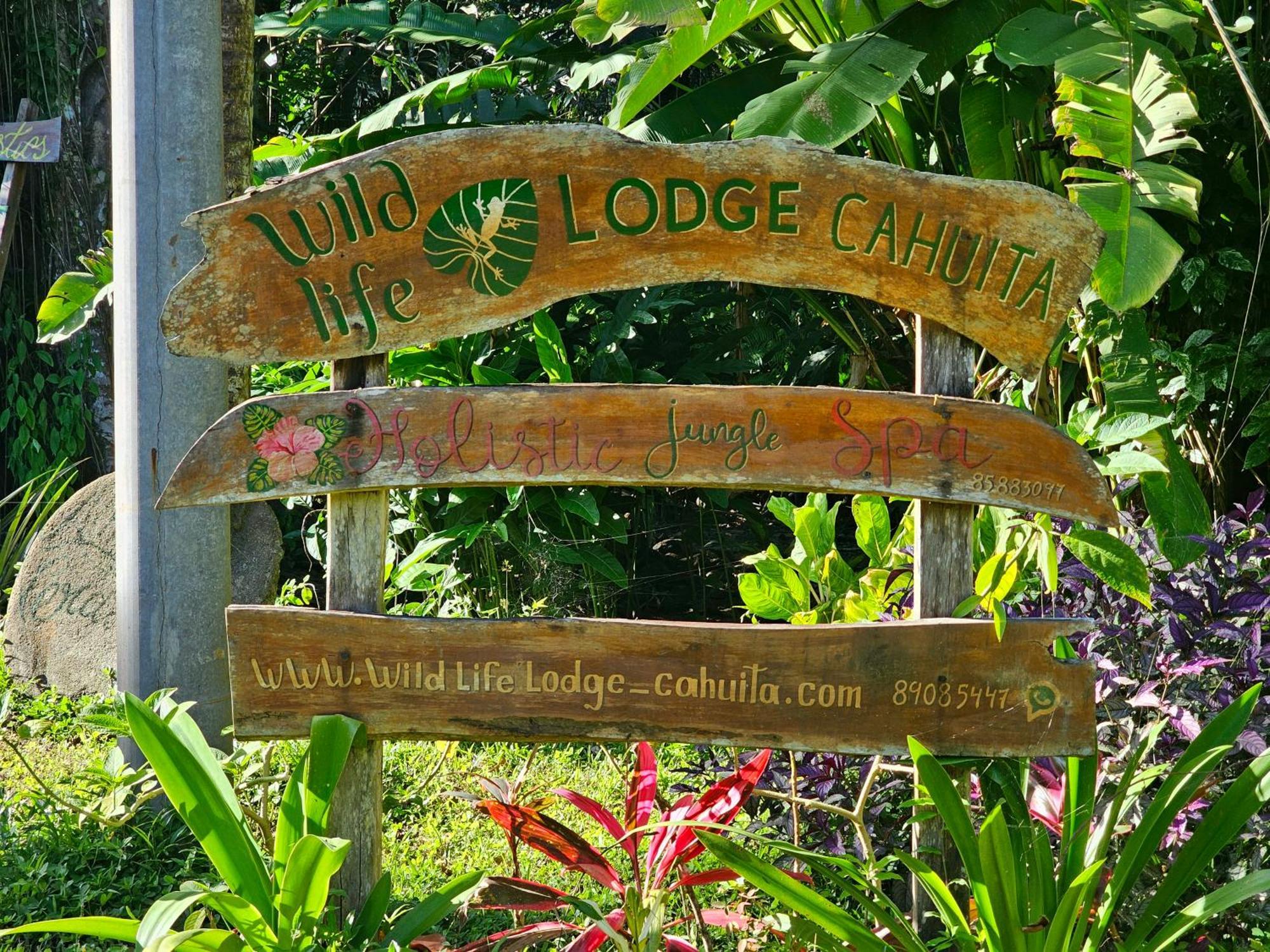 Wildlife Lodge Cahuita Exterior photo