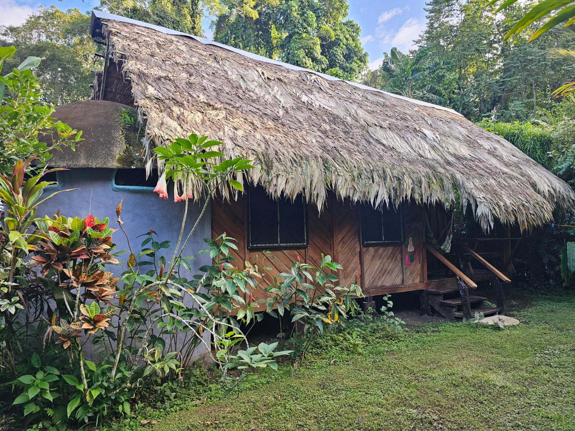 Wildlife Lodge Cahuita Exterior photo