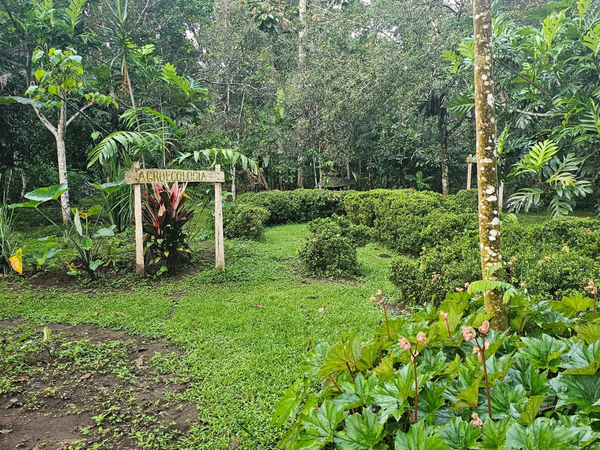 Wildlife Lodge Cahuita Exterior photo