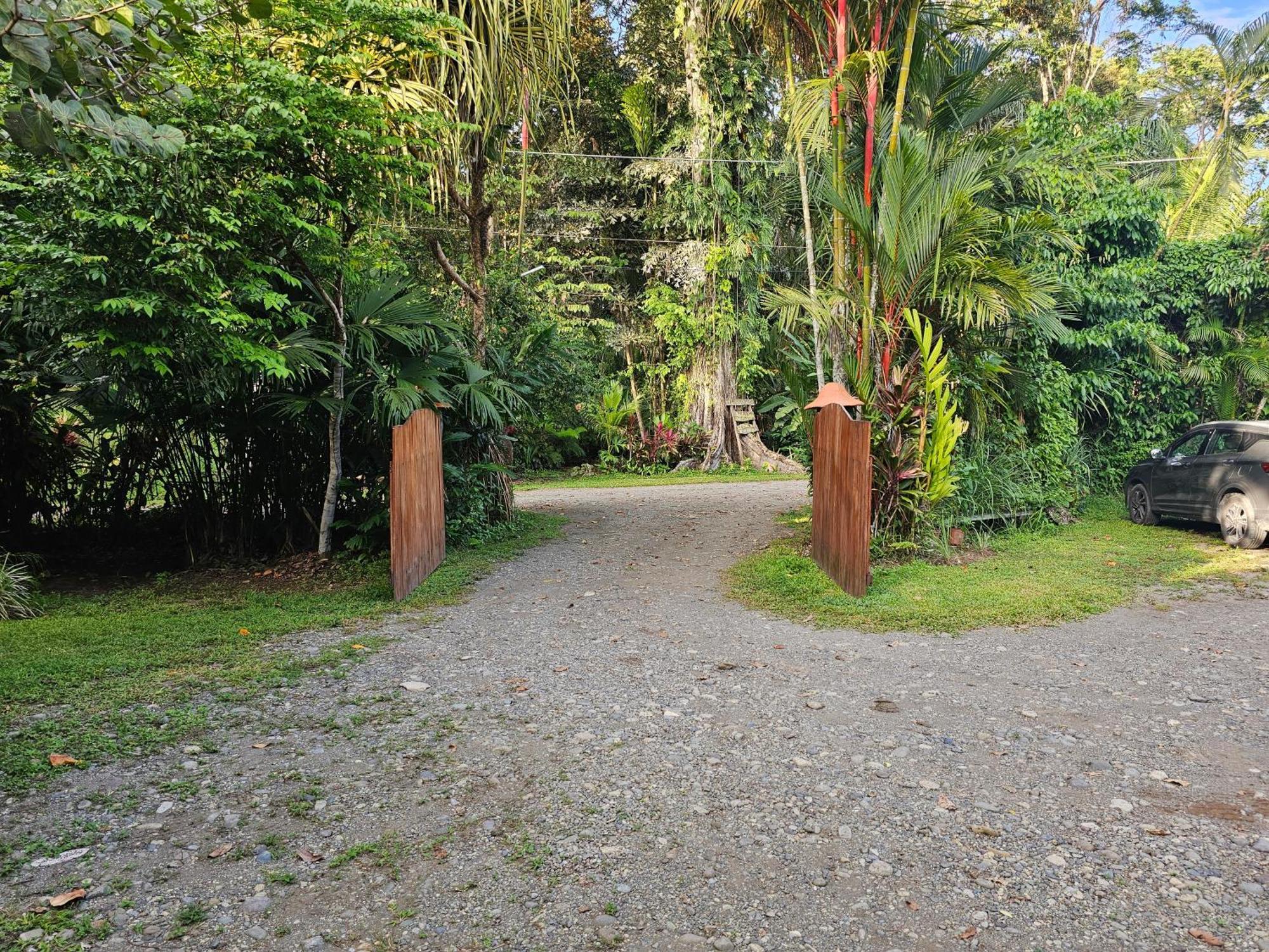Wildlife Lodge Cahuita Exterior photo