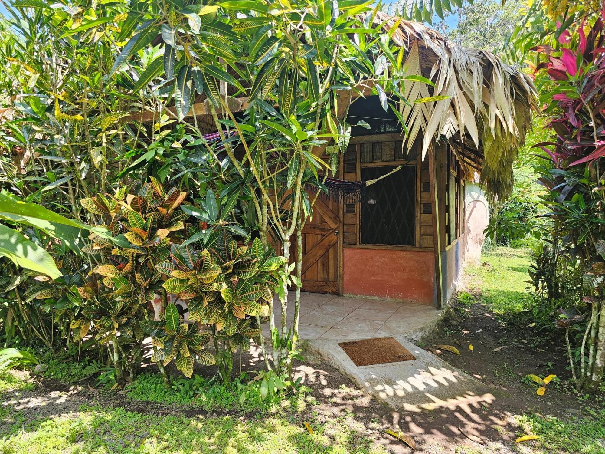 Wildlife Lodge Cahuita Exterior photo