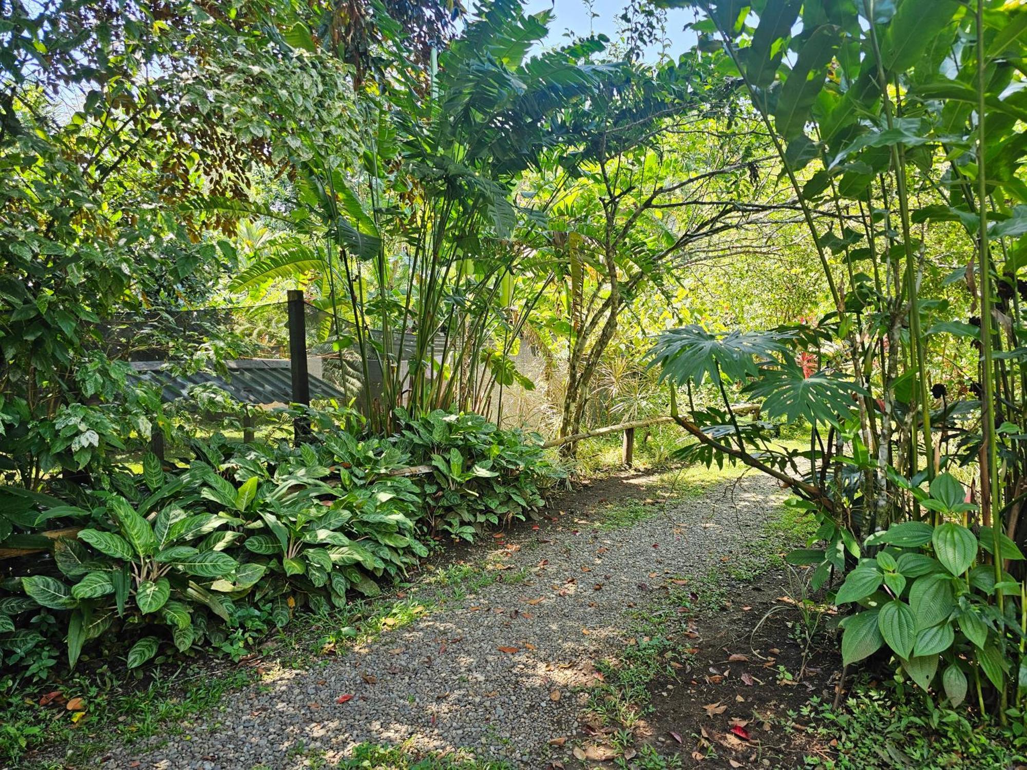 Wildlife Lodge Cahuita Exterior photo