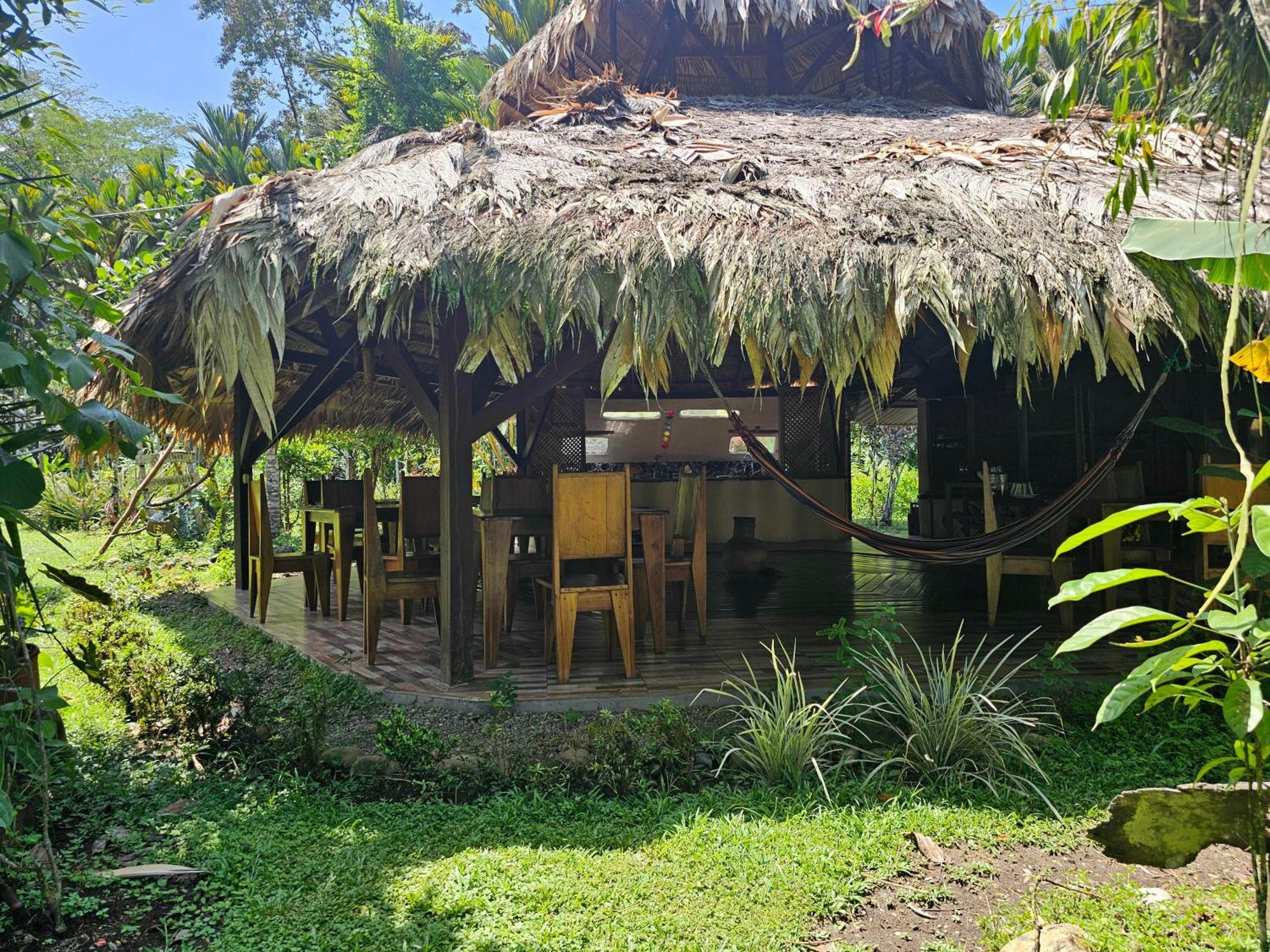 Wildlife Lodge Cahuita Exterior photo
